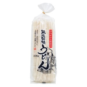 AOI MACARRAO UDON S/SAL 250G