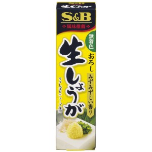 SB GENGIBRE EM PASTA 40G