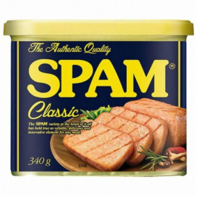 SPAM APRESUNTADO KR 300G