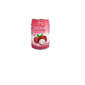 GW BEBIDA SABOR LICHIA COM NATA DE COCO 250ML